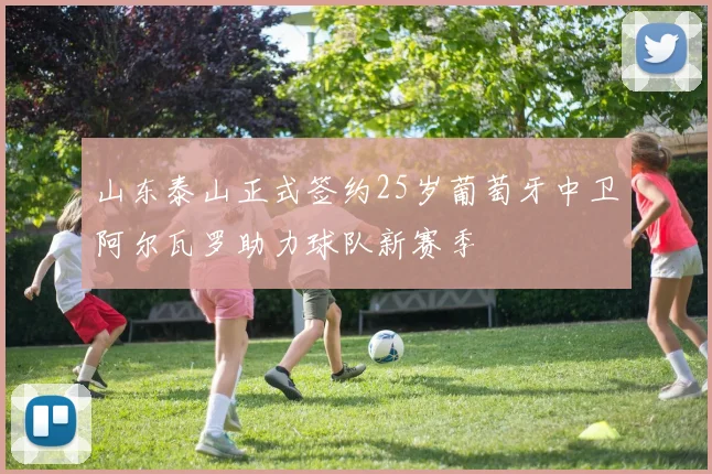 山东泰山正式签约25岁葡萄牙中卫阿尔瓦罗助力球队新赛季