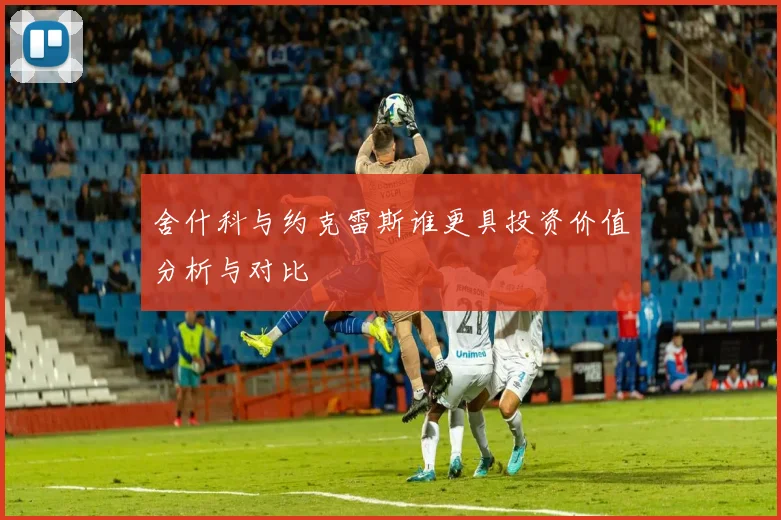 舍什科与约克雷斯谁更具投资价值分析与对比